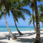 Punta Cana.