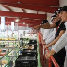 Un moment de la visita a les instal·lacions de la central fructícola. - SUBDELEGACIÓ DEL GOVERN