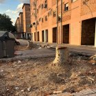 ERC demana explicacions per la tala d’arbres a la Mariola - ERC