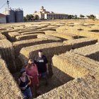 Enguany els usuaris hauran de completar l’arbre genealògic de la família Panarra. - CARMINA MARSIÑACH