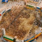Les millors imatges del Monegros Desert Festival.