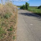 La via per on anirà la línia elèctrica i la finca on hi ha el ‘Limonium tournefortii’, a l’esquerra. - DAVID POCA