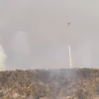 Incendi Fulleda Amado