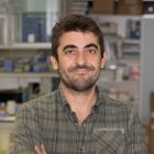L’investigador Joan Valls.