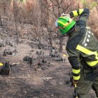 Un membre dels Agents Rurals analitza una àrea forestal cremada per determinar-ne l'origen.