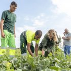 Begoña Iglesias va visitar ahir el viver d’agricultors. - PAU PASCUAL