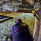 Plantació trobada el 24 de juliol en una casa a la plaça de l’Església de la Pobla de Cérvoles. - MOSSOS D’ESQUADRA