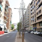 Diversos arbres de la mitjana d’avinguda Madrid han mort. - MAGDALENA ALTISENT