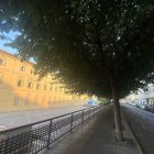 El tram del carrer que ERC demana que sigui refugi climàtic. - ERC LLEIDA