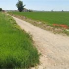 La zona on s’instal·larà la macroplanta de biogàs per revaloritzar residus de granges. - BIOFERTILIZANTES CH4