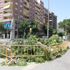 Uno de los árboles que ya han sido talados en Rovira Roure entre Prat de la Riba y Ronda.
