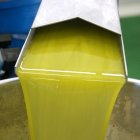 L’oli d’oliva de Lleida es juga bona part de les seues exportacions als Estats Units. - ACN
