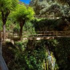 Camí de les fonts.