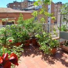 La terrassa ‘reverdida’ d’un dels participants a la Xarxa de Balcons Verds. - AJUNTAMENT DE LLEIDA