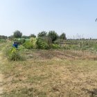 Vista d’algun dels horts municipals ubicats a la partida de Rufea. - PAU PASCUAL PRAT