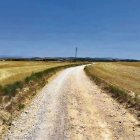 El camí, al seu pas per una zona agrícola de Castelló de Farfanya.