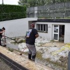 Operaris retirant la gran quantitat de granís acumulat al recinte de les piscines de la Seu. - EDGAR ALDANA