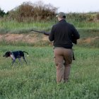 Un caçador en un camp de Bell-lloc aquest dijous.