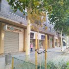 Un arbre sec en la part renaturalitzada de Riu Ebre. - ERC