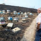 Gran impacte dels incendis en zones apícoles, com mostra l’alcalde d’A Gudiña. - EUROPA PRESS