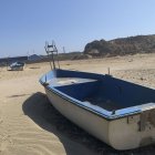 Imatge d’una pastera arribada a les illes Balears. - EFE