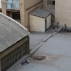 Estat de la coberta del baixador de busos, vista des d’un pis del carrer Blondel. - AMADO FORROLLA