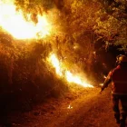 Un bomber treballa en l’extinció del foc a Pobra de Brollón (Lugo). - EUROPA PRESS
