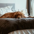 Conner Baker / Unsplash