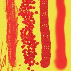 Un detall del cartell oficial de la Diada d’aquest any. - EUROPA PRESS