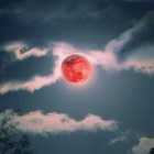 Jerry Ling / Unsplash