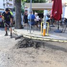 Un dels primers cendrers amb forma de cigarros instal·lats fa anys per dissuadir fumadors.; Array