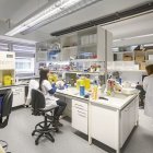 Un laboratori de l’Institut de Recerca Biomèdica IRBLleida. - IRBLLEIDA