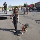Un moment de la desfilada canina d’ahir a Cervera. - C. MARSIÑACH