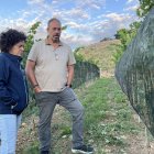 Membres de la Fundació Planes Corts observen els ceps. - ACN