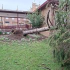 Les tempestes del 31 d’agost i el 8 de setembre van fer caure desenes d’arbres a Binèfar. - E.B.D.