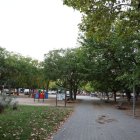 La plaça de les Magnòlies és un pulmó verd de Balàfia. - AMADO FORROLLA