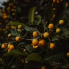 Foto de Steffen Schubert en Unsplash
