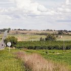 Els terrenys on s’ha projectat el polígon de Torreblanca. - SEGRE