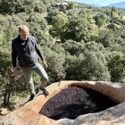 El responsable del celler al costat d’una de les premses de pedra. - MARTA JUVICH/ACN