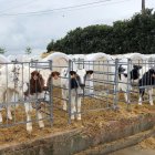 Les exportacions a l’Àfrica i Àsia arriben ja aquest any als 41 milions d’euros. - EUROPA PRESS