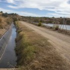 Part del canal revestit i d’una de les basses anomenades Paupaterres al terme de Tàrrega. - LAIA PEDRÓS