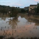 Les pluges van negar els camps de cultiu de Cervià de les Garrigues. - AMADO FORROLLA