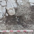 Un dels forats que van fer les persones que van accedir al jaciment amb detectors de metalls. - ACN / MARTA LLUVICH