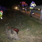 Imatge d’arxiu d’un accident causat per un senglar. - SEGRE