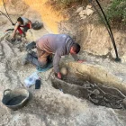 Arqueòlegs durant l’exhumació de la fossa a Alentorn. - JUSTÍCIA