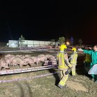 Accident camió porcs Almenar A-14