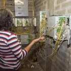 Instal·lació elèctrica deficient al bloc de Cal Bernet.