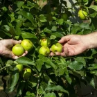El canvi climàtic genera cada vegada més episodis extrems. - SEGRE