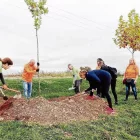 Una de les edicions passades de la jornada. - SEGRE