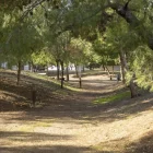 Al bosc urbà de Cappont està previst un ‘prat’ de pol·linitzadors. - JORDI ECHEVARRIA